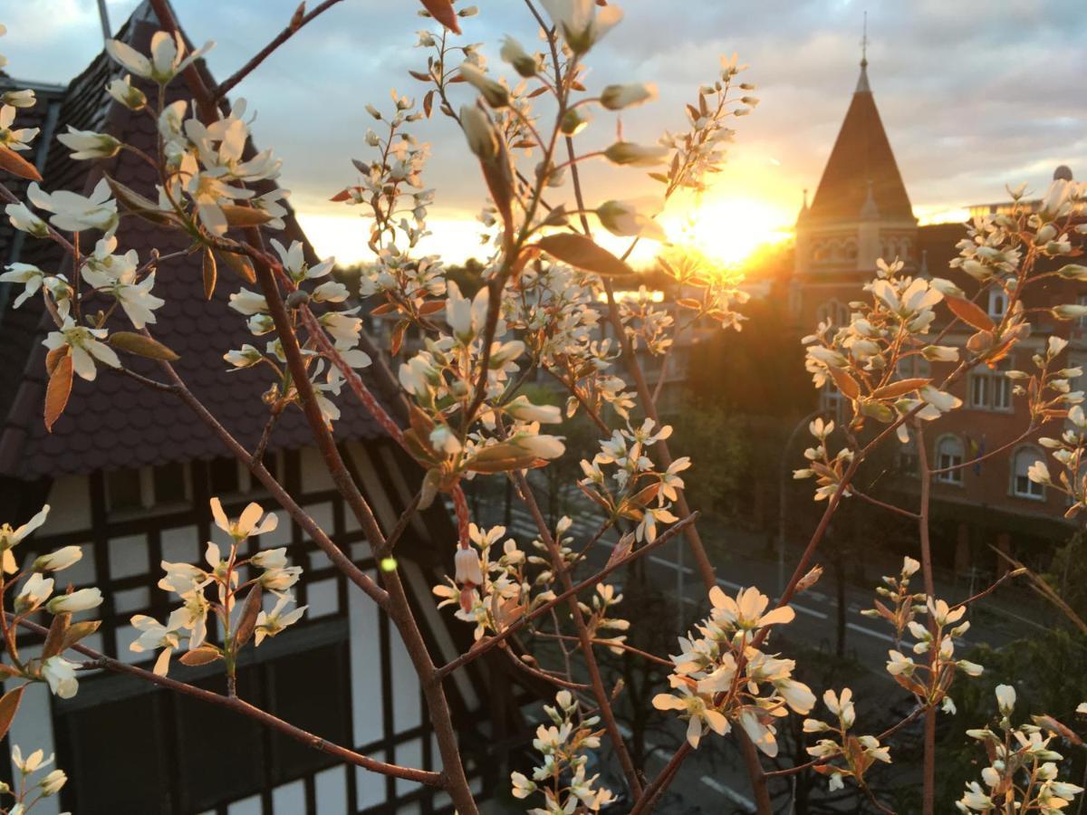 L'Orangerie Apartment Strasbourg Bagian luar foto