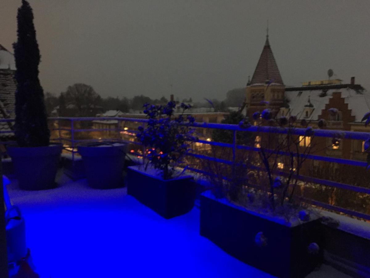 L'Orangerie Apartment Strasbourg Bagian luar foto