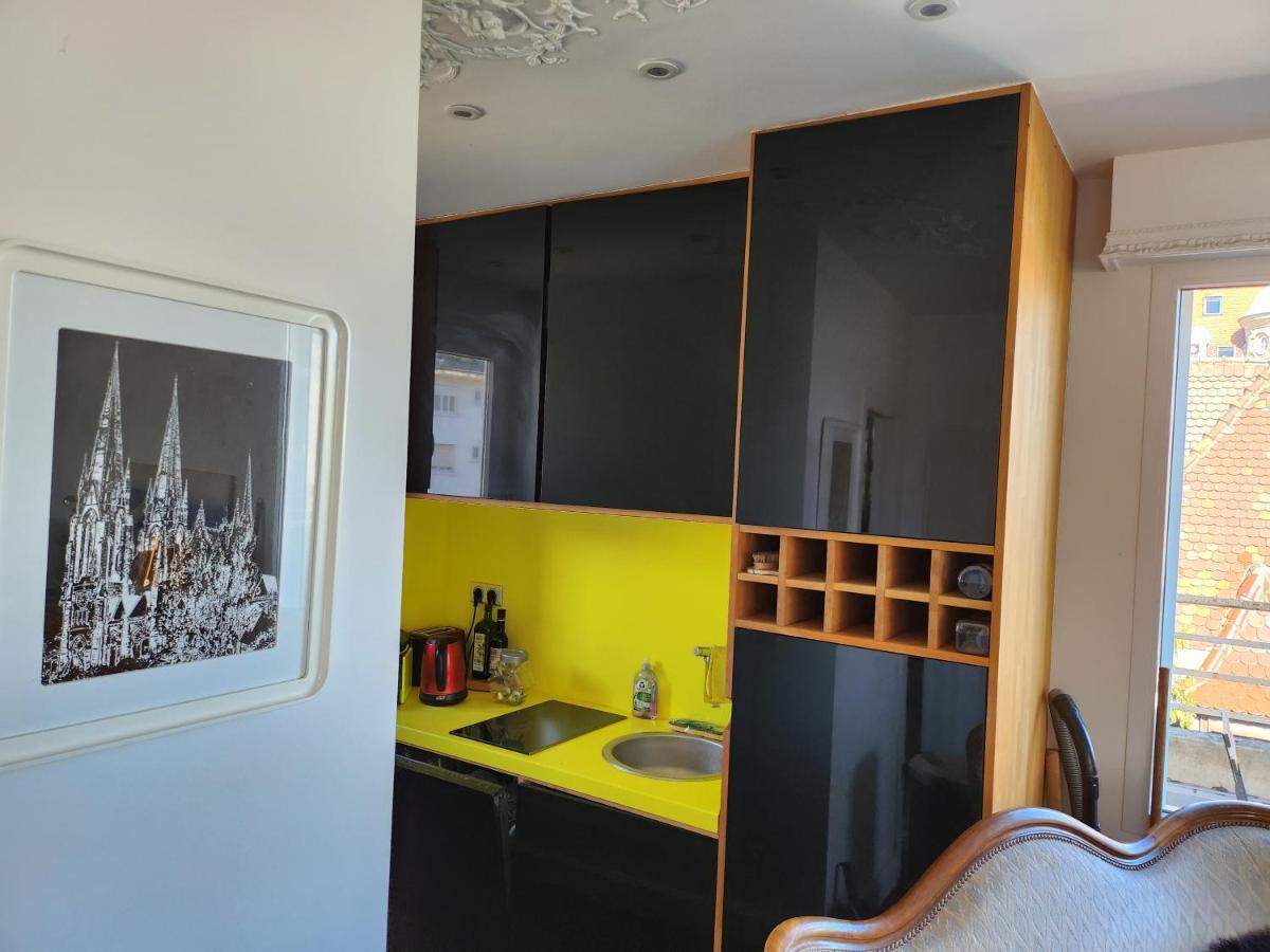 L'Orangerie Apartment Strasbourg Bagian luar foto